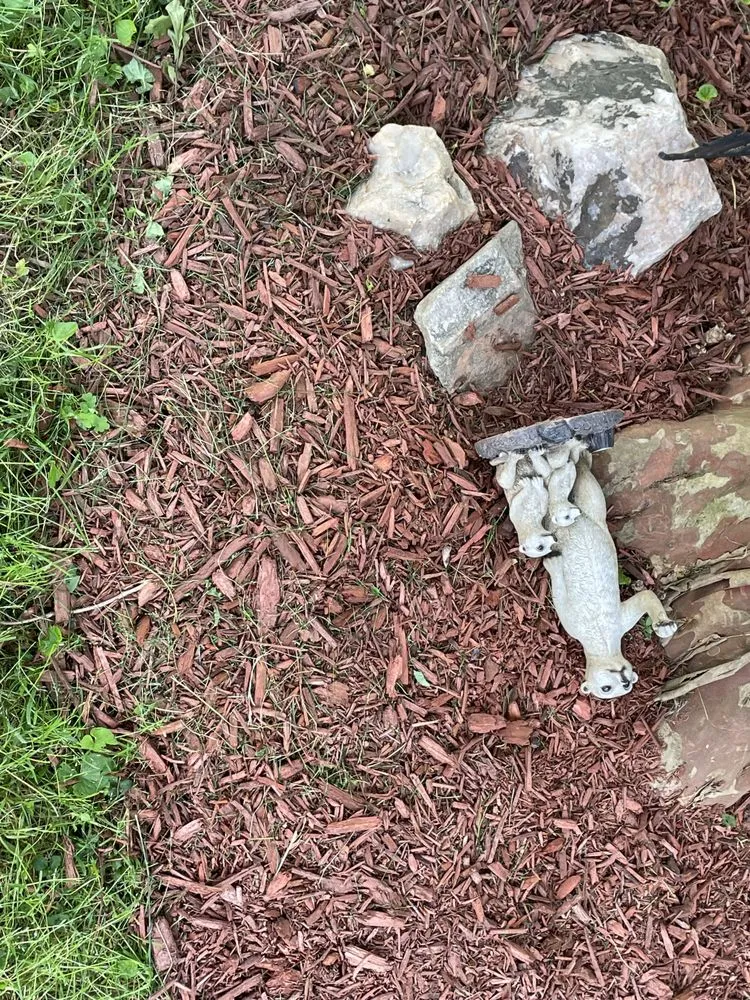 Professional garden landscaping in Manassas Park, VA - Precision Lawn & Landscape