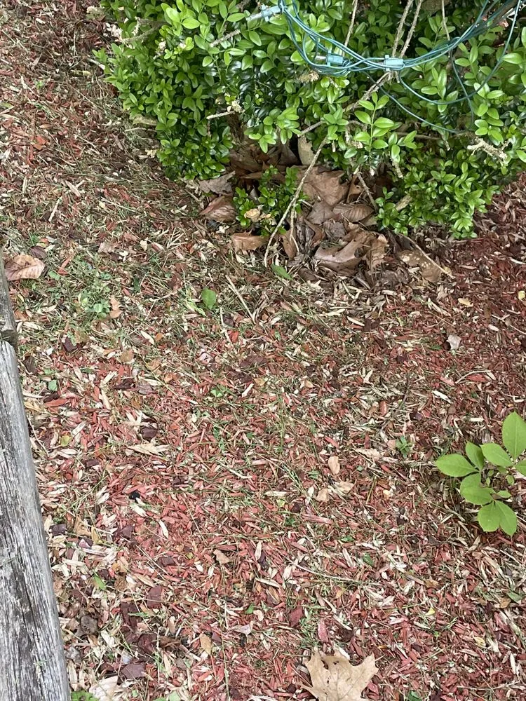 Reliable yard maintenance in Manassas Park, VA - Precision Lawn & Landscape