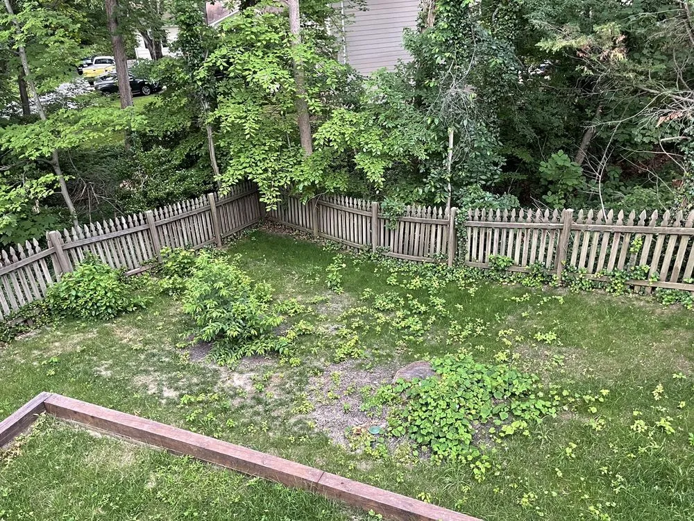 Reliable lawn care service in Manassas Park, VA - Precision Lawn & Landscape