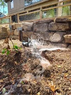 Affordable yard maintenance in Lexington, SC - Precision Lawn & Landscaping