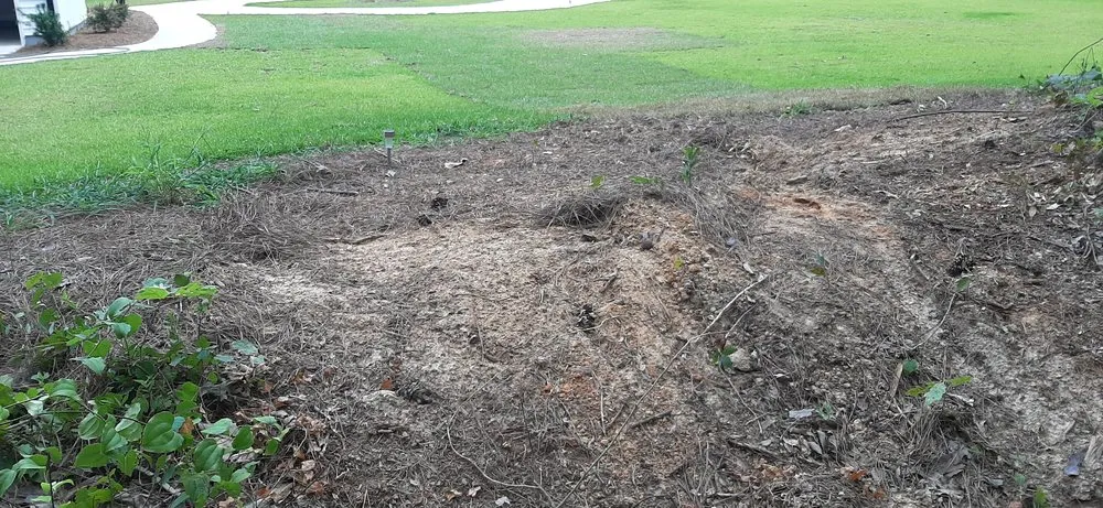 Expert landscape design in Lexington, SC - Precision Lawn & Landscaping