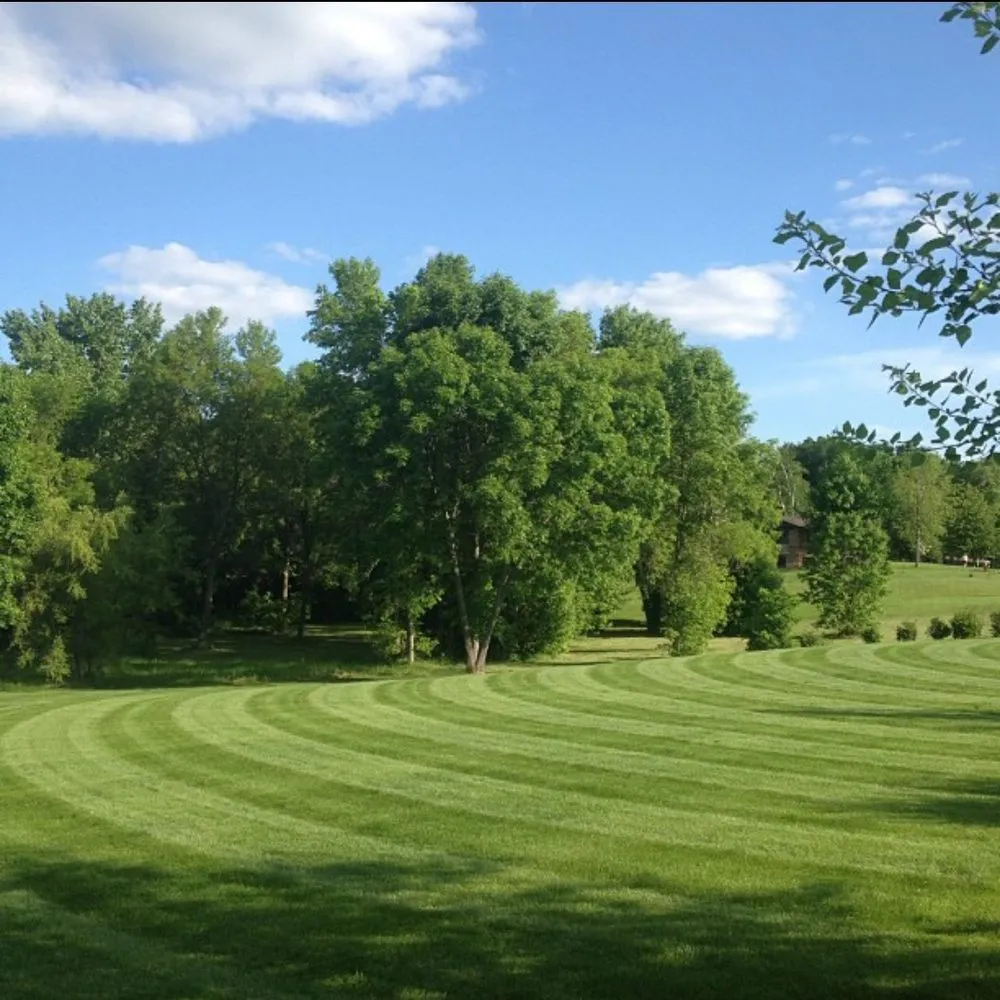 Expert yard cleanup service in Fergus Falls, MN by Precision Lawn & Property Maintenance