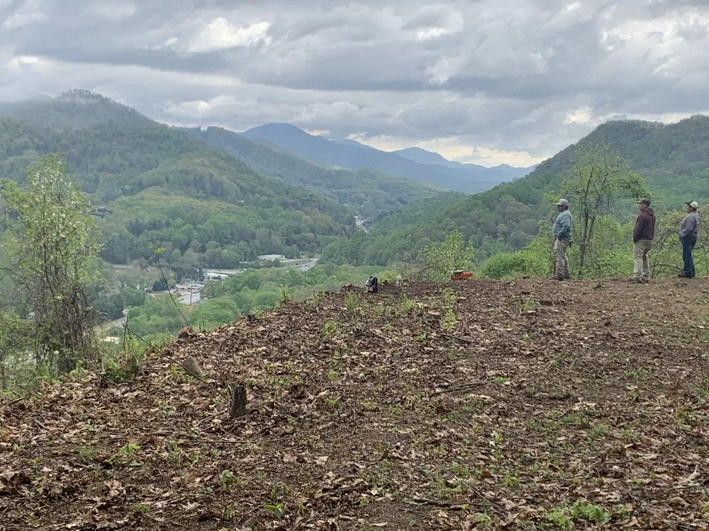 Expert outdoor landscaping in Candler, NC by Precision Lawn & Tree