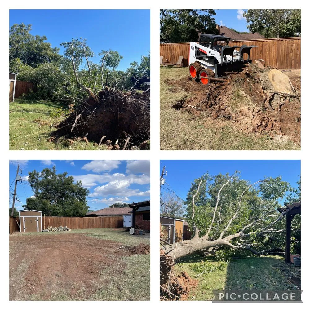 Expert lawn mowing service in Wichita Falls, TX - Precision Lawn & Tree