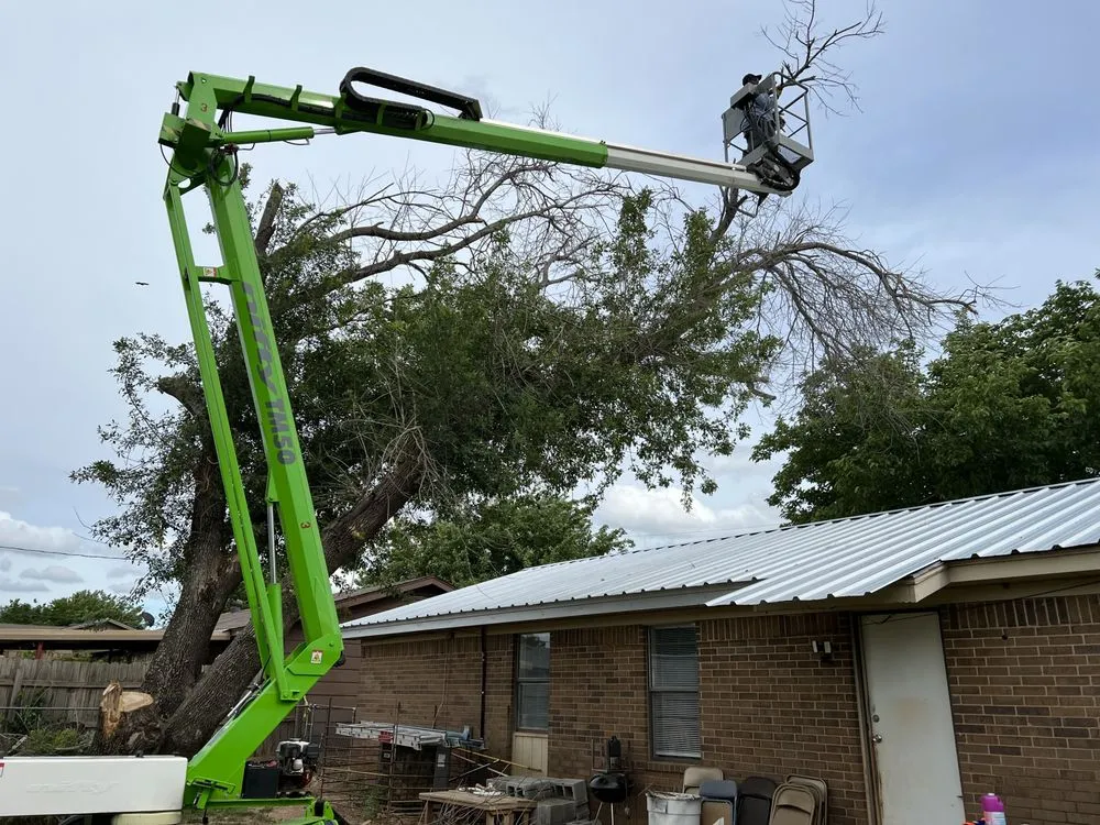 Custom landscape installation in Wichita Falls, TX - Precision Lawn & Tree
