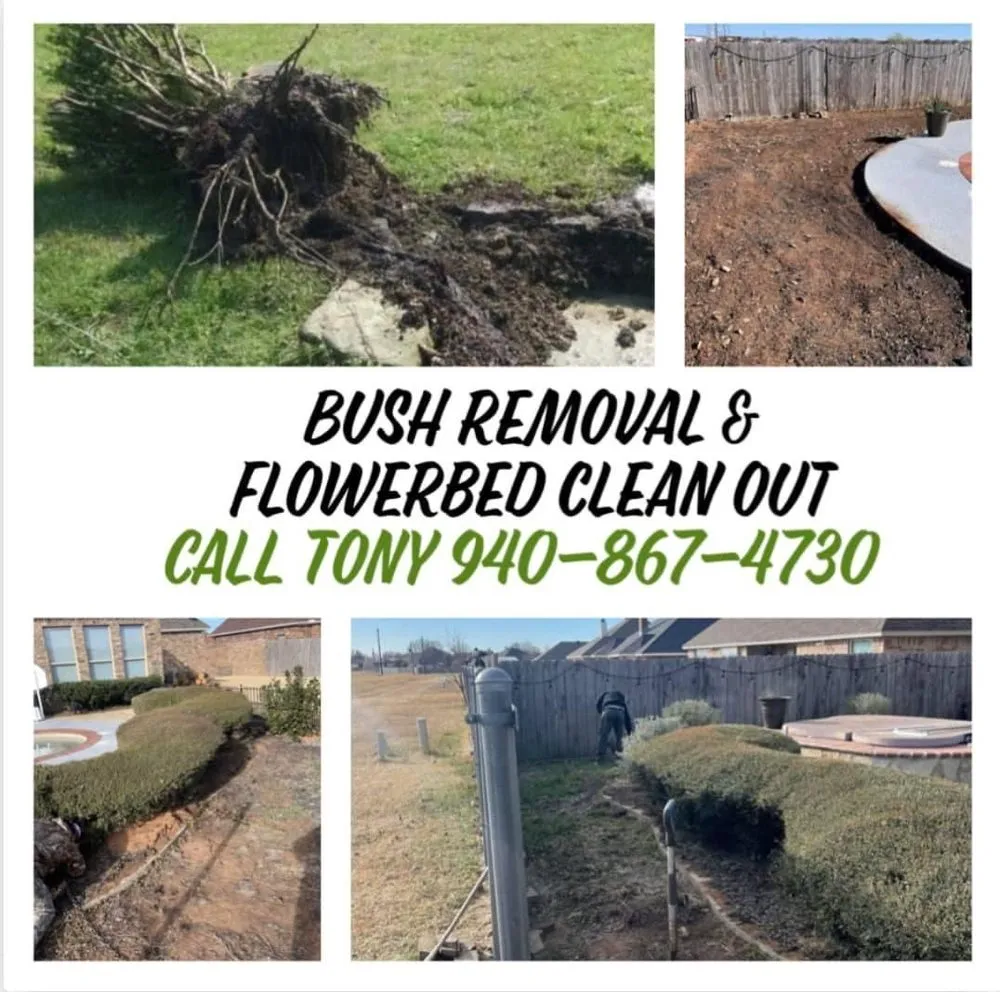 Top-rated lawn mowing service in Wichita Falls, TX by Precision Lawn & Tree