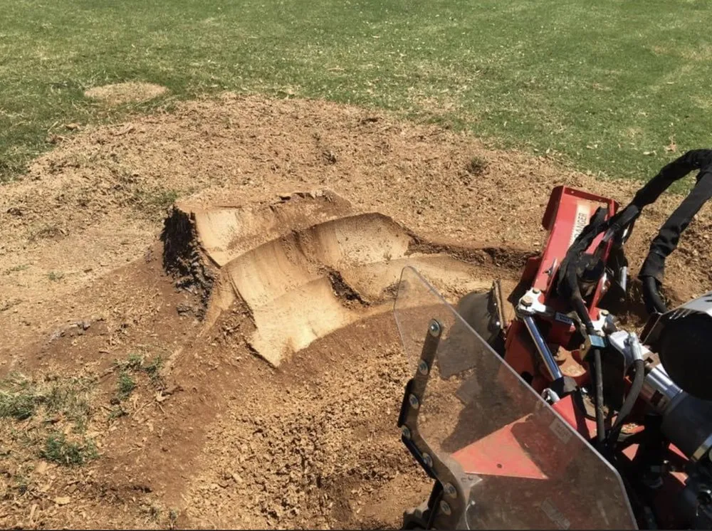 Local landscape installation for beautiful yards across Wichita Falls, TX - Precision Lawn & Tree