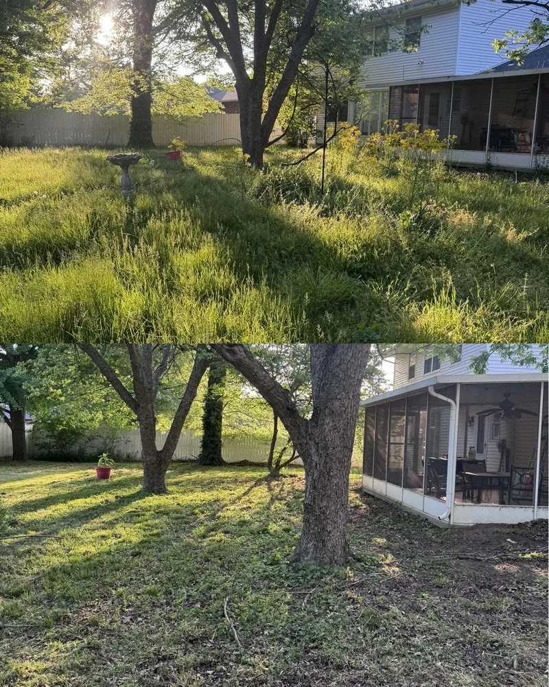 Trusted lawn care service for residential properties across Sikeston, MO - Precision Lawn & Wash