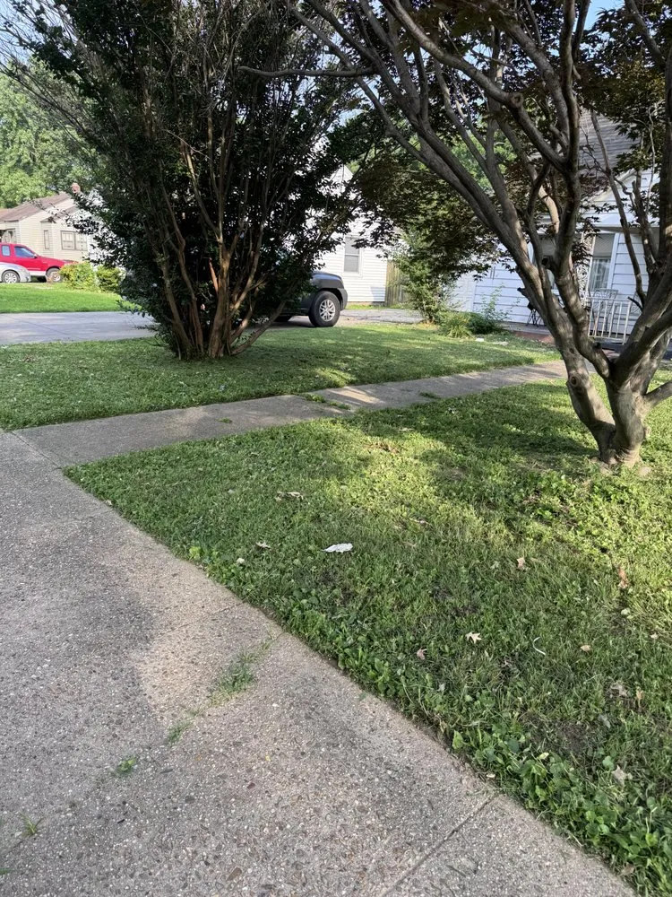 Top-rated yard maintenance in Sikeston, MO - Precision Lawn & Wash