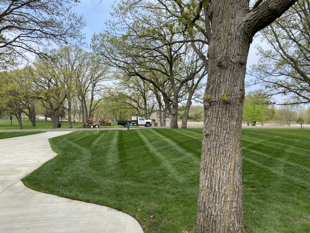 Affordable yard cleanup service in Spicer, MN by Precision Lawn and Labor