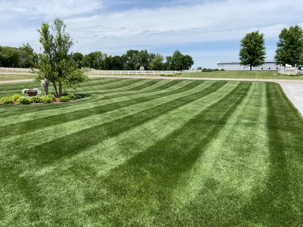 Local lawn mowing service in Spicer, MN by Precision Lawn and Labor