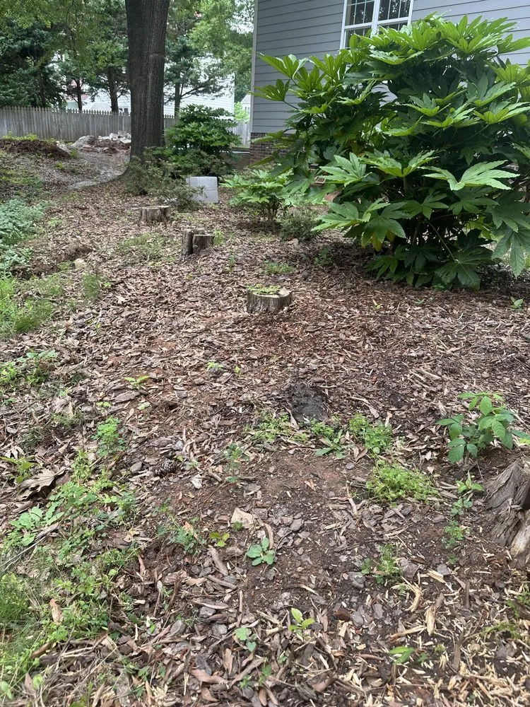 Reliable landscape installation near you across Middlesex, NC - Precision Lawn and Land Services