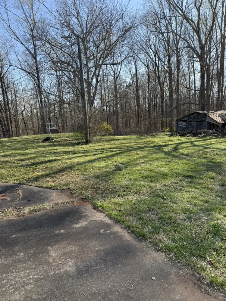 Custom landscape design for outdoor upgrades across Lexington, NC - Precision Lawn and Landscaping