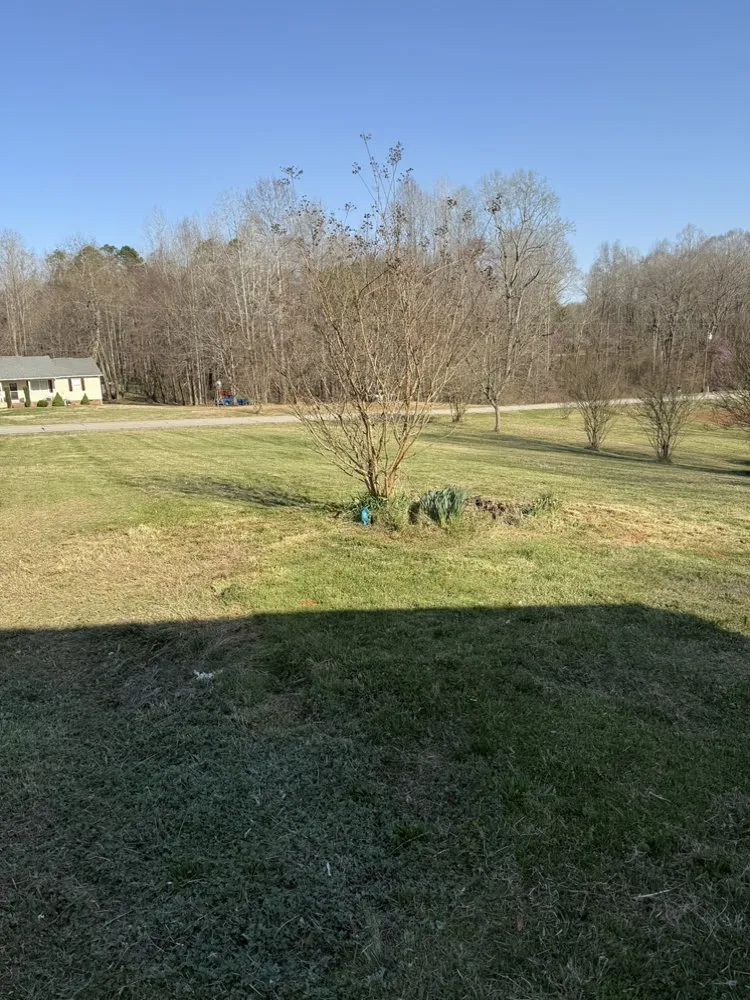 Professional garden landscaping experts serving Lexington, NC - Precision Lawn and Landscaping