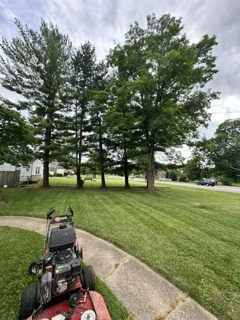 Reliable yard maintenance experts serving White Oak, OH - Precision Lawn And Property Management