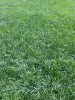 Expert lawn care service in Hindman, KY - Precision Lawn Care & Landscapes