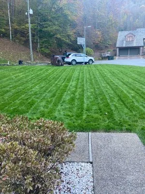 Precision Lawn Care & Landscapes