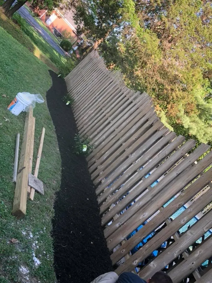 Expert yard cleanup service for year-round maintenance across Christiana, TN - Precision Lawn Care & Landscaping