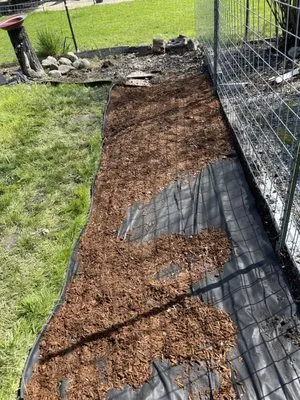 Precision Lawn Care & Maintenance Logo