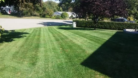 Custom yard cleanup service in Windsor, CT - Precision Lawn Care & Maintenance