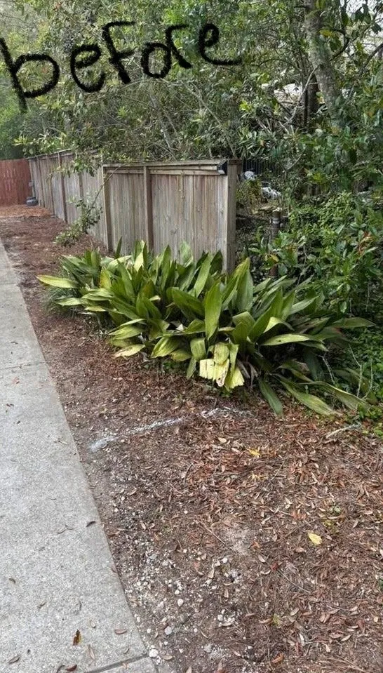 Expert garden landscaping for residential properties in Fort Walton Beach, FL by Precision Lawn Care And Landscape