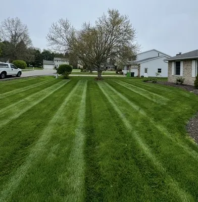 Precision Lawn Care