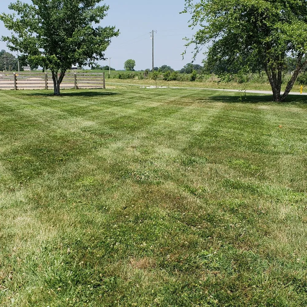 Trusted yard maintenance for residential properties across Carbondale, IL - Precision Lawn Care
