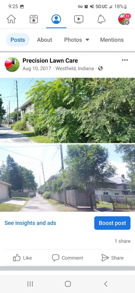 Reliable yard cleanup service in Indianapolis, IN - Precision Lawn Care