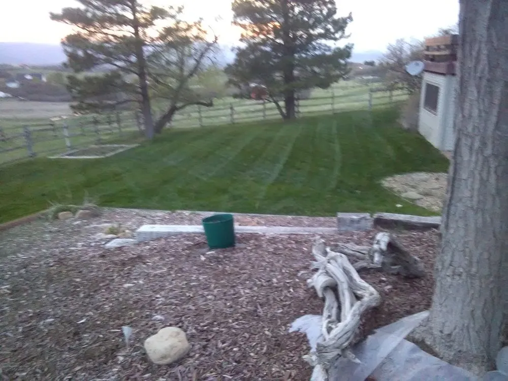 Trusted landscape design in Littleton, CO by Precision Lawn Care
