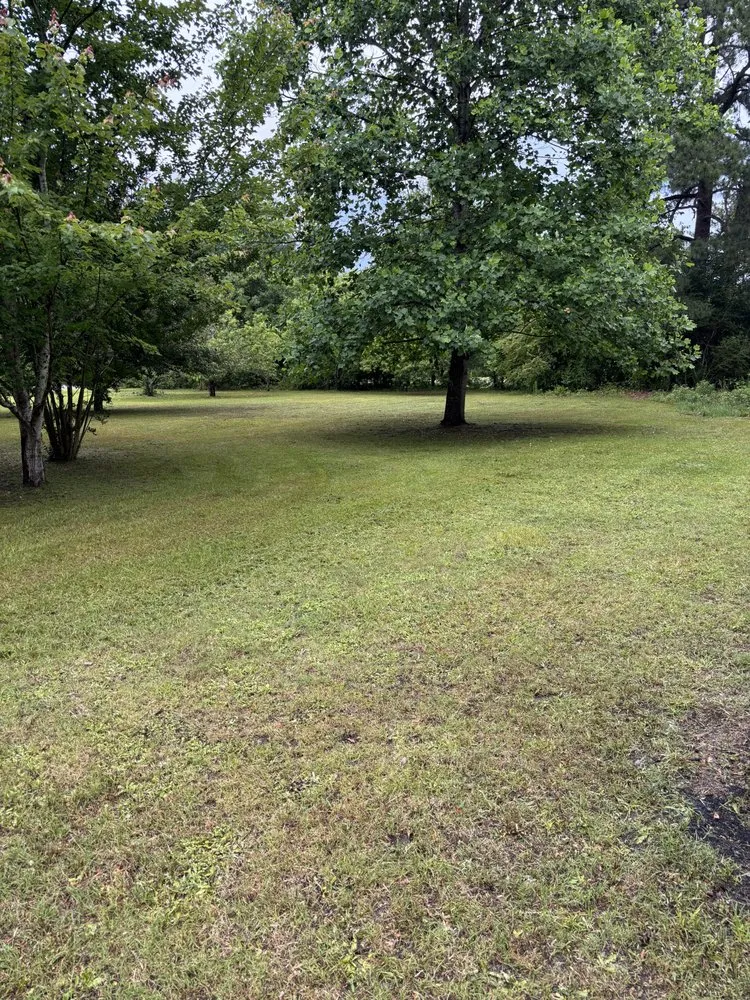 Reliable landscape installation in Lumberton, NC - Precision Lawn Care