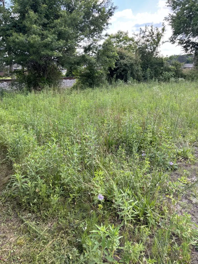 Trusted garden landscaping in Lumberton, NC by Precision Lawn Care