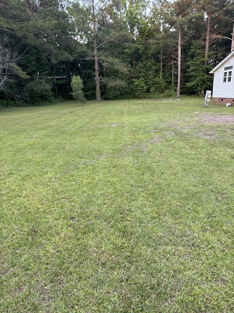 Expert outdoor landscaping in Lumberton, NC - Precision Lawn Care