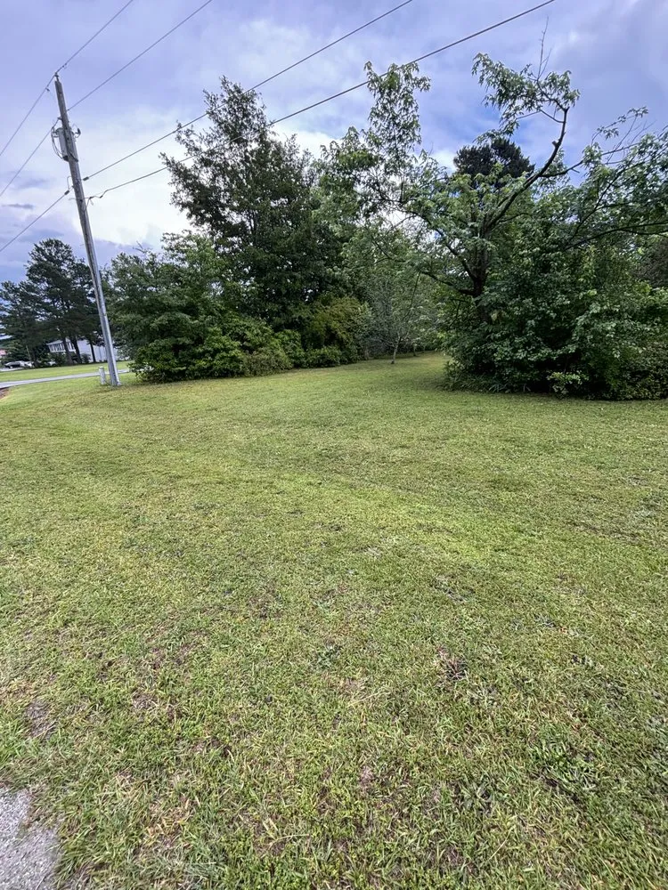 Reliable landscaping services for outdoor upgrades in Lumberton, NC by Precision Lawn Care