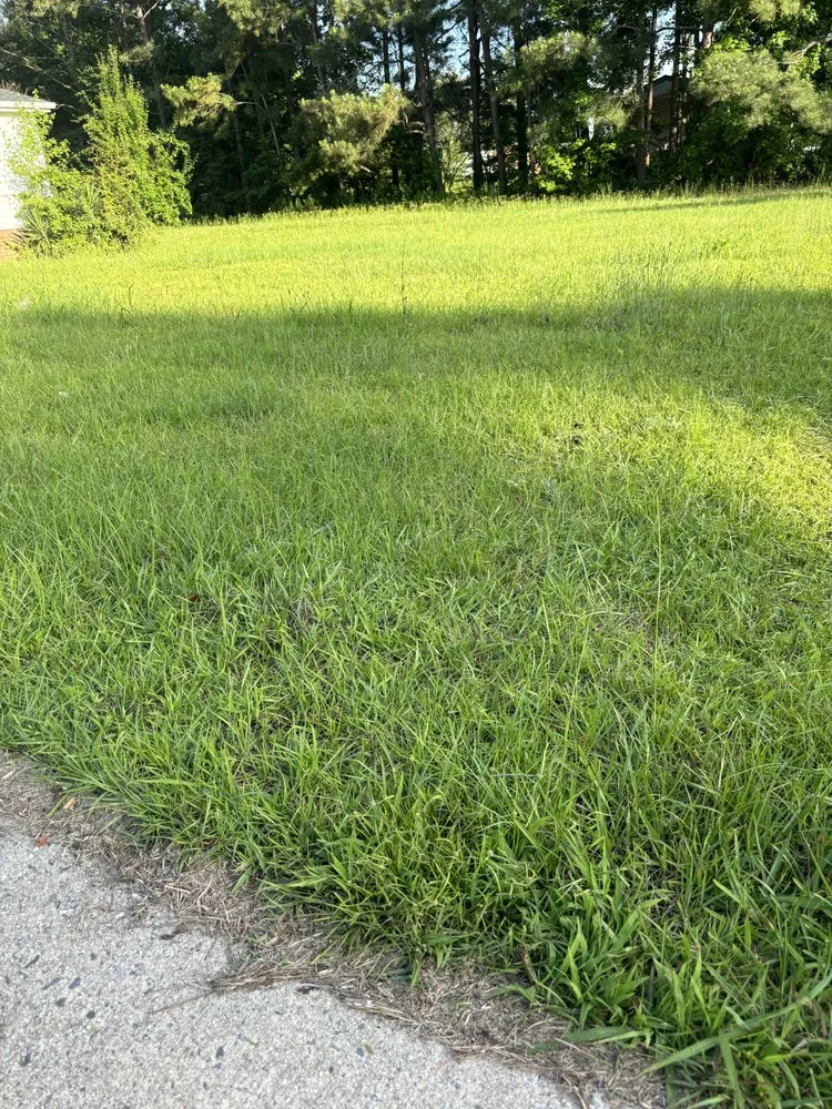 Professional landscape design for outdoor upgrades in Lumberton, NC by Precision Lawn Care