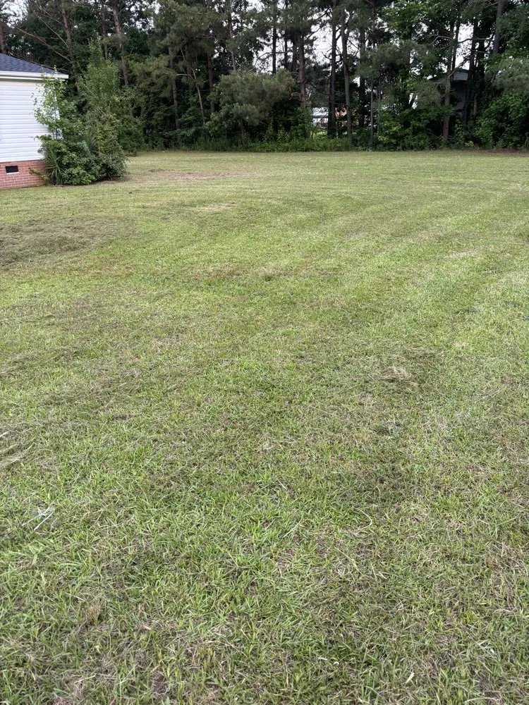 Trusted yard cleanup service experts serving Lumberton, NC - Precision Lawn Care