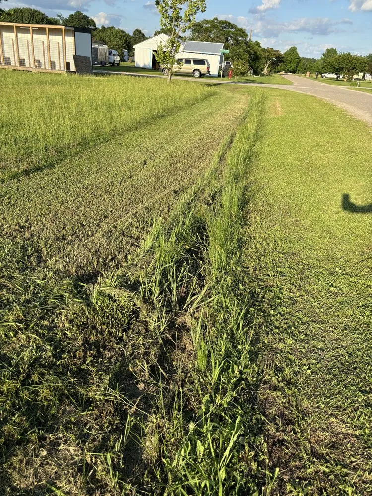 Trusted outdoor landscaping in Lumberton, NC by Precision Lawn Care