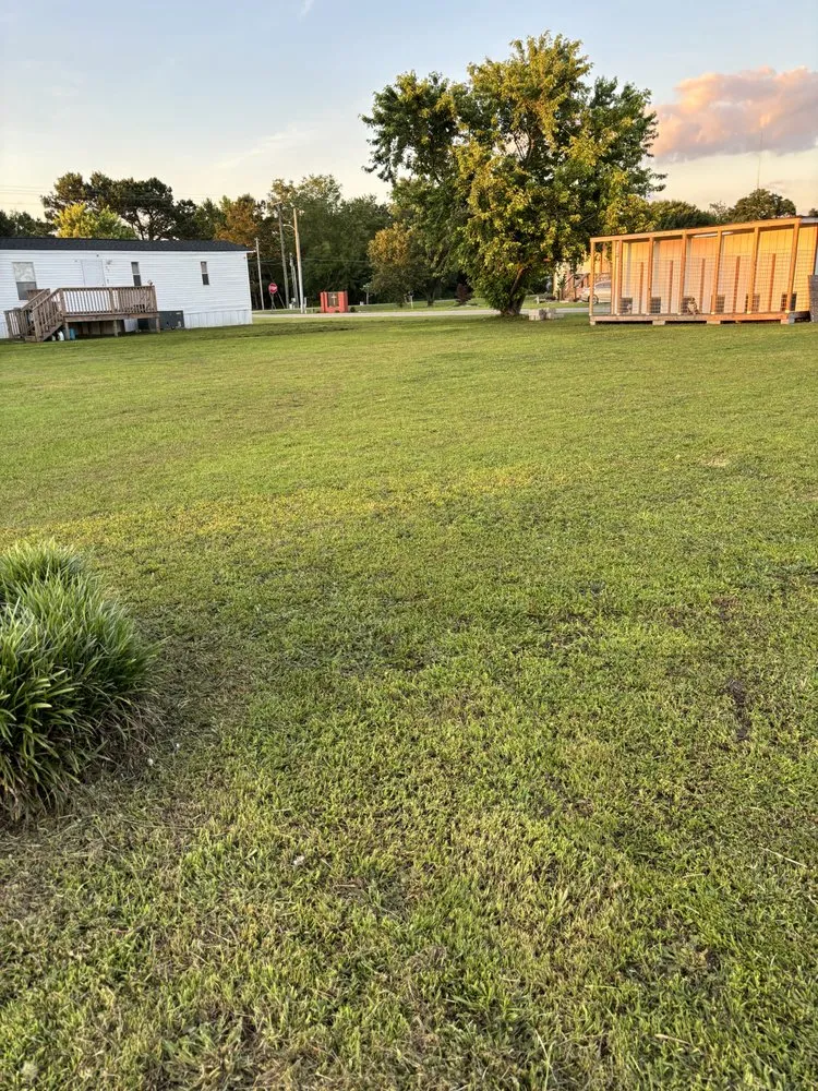 Top-rated landscape installation experts serving Lumberton, NC - Precision Lawn Care