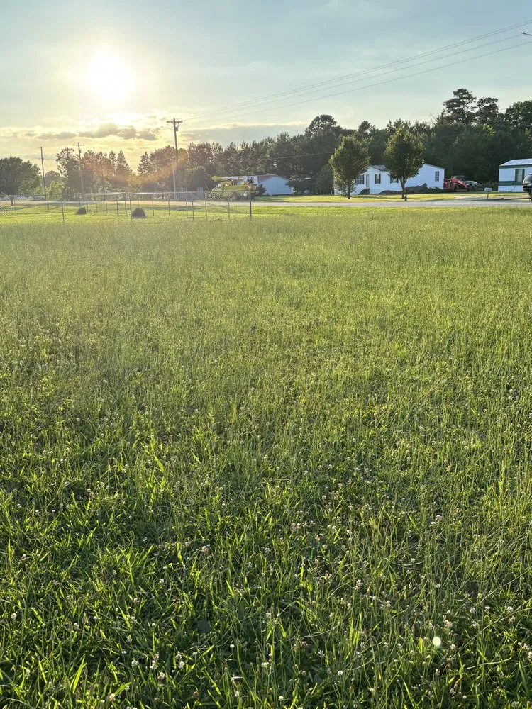 Custom garden landscaping for year-round maintenance across Lumberton, NC - Precision Lawn Care