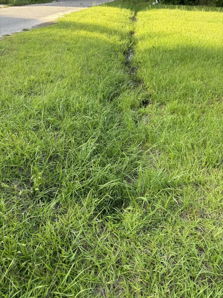 Reliable yard cleanup service for outdoor upgrades in Lumberton, NC by Precision Lawn Care