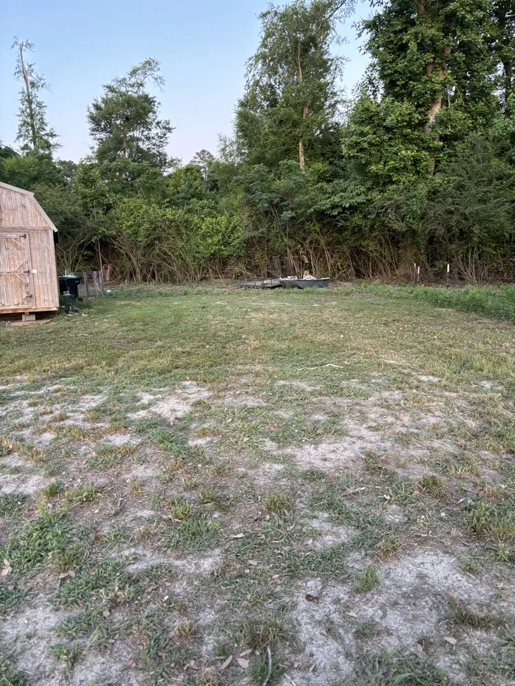 Top-rated residential landscaping for year-round maintenance across Lumberton, NC - Precision Lawn Care