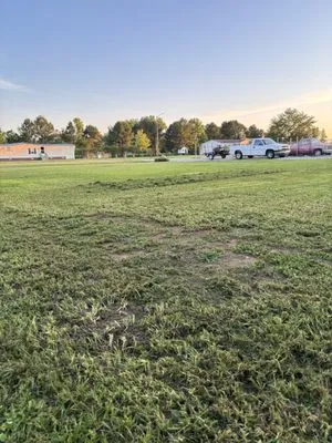 Precision Lawn Care Logo