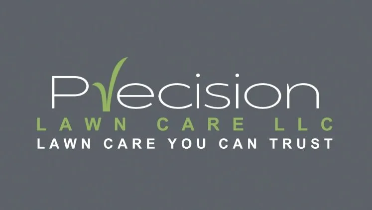 Professional yard cleanup service for year-round maintenance across Mabank, TX - Precision Lawn Care
