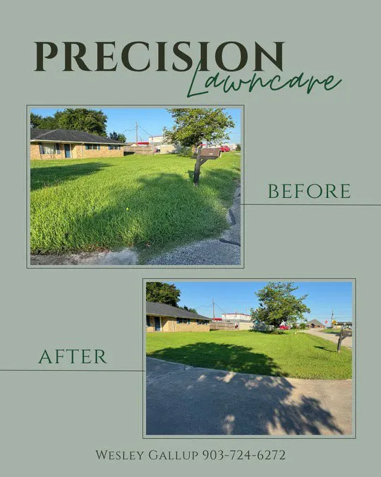 Expert garden landscaping in Mabank, TX by Precision Lawn Care