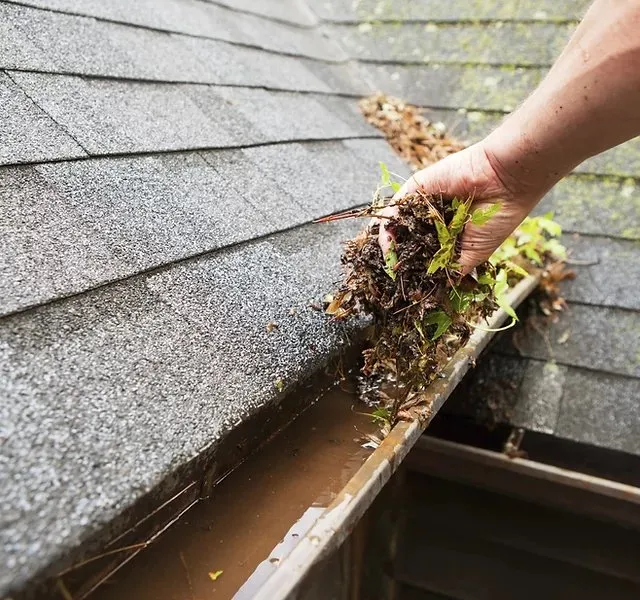 Top-rated landscape installation experts serving Pass Christian, MS - Precision Lawn Care