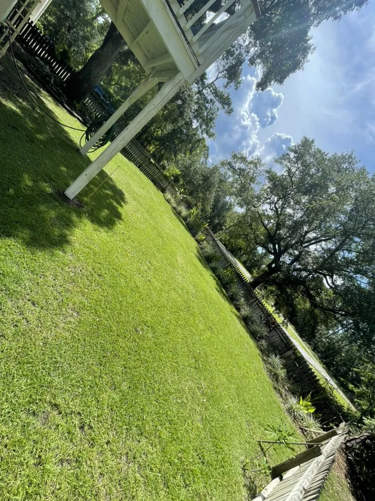 Expert landscape installation for beautiful yards across Pass Christian, MS - Precision Lawn Care