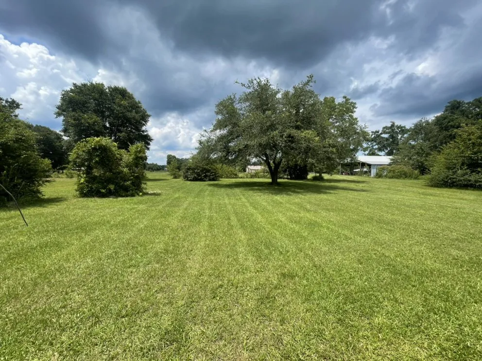 Local lawn mowing service for beautiful yards in Pass Christian, MS by Precision Lawn Care