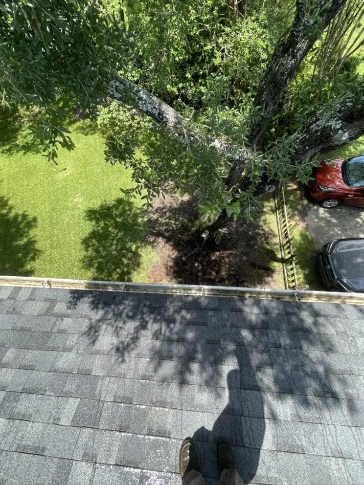 Expert lawn care service for residential properties in Pass Christian, MS by Precision Lawn Care