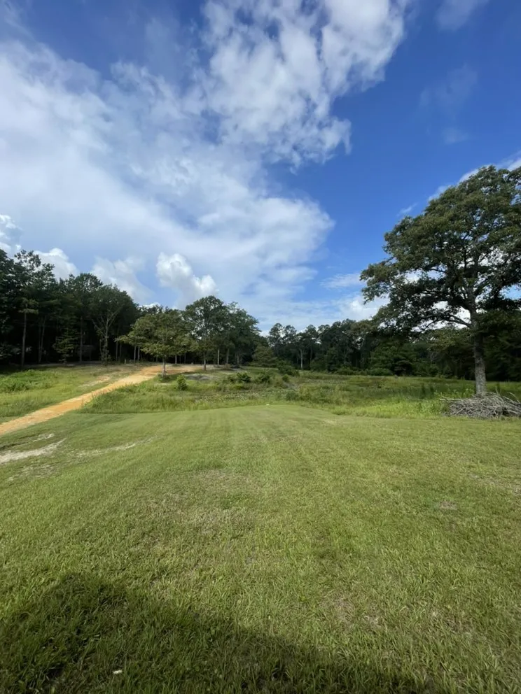 Expert yard cleanup service for outdoor upgrades in Pass Christian, MS by Precision Lawn Care