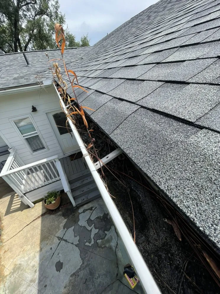 Trusted lawn mowing service in Pass Christian, MS - Precision Lawn Care