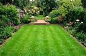 Affordable yard cleanup service in Ponca City, OK - Precision Lawn Care